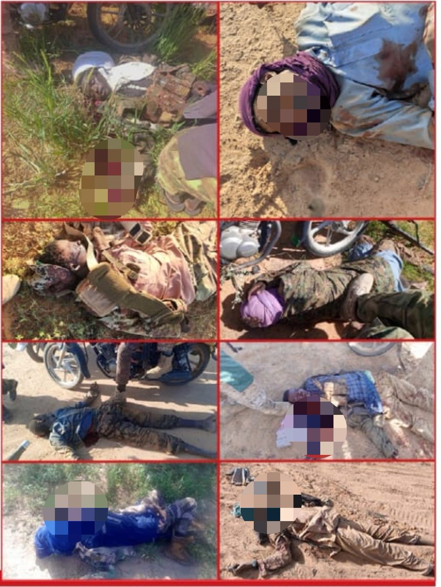 SahelAlerte's tweet photo. 🇧🇫 Burkina Faso : lourde défaite du JNIM face à l’État islamique

Selon le journal Al-Naba, affilié à l’État islamique, de violents affrontements ont opposé mardi 19 Rabi al-Awwal 1448H des combattants de l’État islamique au JNIM, dans la zone de Dori, région du Sahel. Après une attaque lancée par le JNIM, les combats, qui ont duré environ une demi-heure, se sont soldés par une lourde défaite du groupe. Plus de 200 combattants du JNIM ont été tués, dont plusieurs commandants, tandis que des dizaines d’autres auraient été blessés ou capturés.

L’État islamique affirme également avoir saisi 4 véhicules 4x4 équipés de mitrailleuses lourdes, 8 autres mitrailleuses lourdes, 30 mitrailleuses moyennes, 242 fusils, 11 lance-roquettes et mortiers, ainsi que d’importantes quantités de munitions.

 Le groupe affirme aussi avoir récupéré 200 motos et en avoir incendié environ 100 autres sur le lieu des combats. Des images de combattants et de prisonniers du JNIM ont été diffusées à la suite de l’affrontement.

Le journal rapporte enfin que cette bataille intervient après plusieurs attaques menées récemment par l’État islamique au Niger et au Nigeria, au cours desquelles le groupe affirme avoir tué environ 51 membres des forces nigériennes et nigérianes et des milices locales, incendié un poste de police et plusieurs véhicules, et capturé du matériel. Les attaques auraient notamment visé les zones de Tillabéri et Dosso au Niger, ainsi que Kebbi, dans l’ouest du Nigeria.