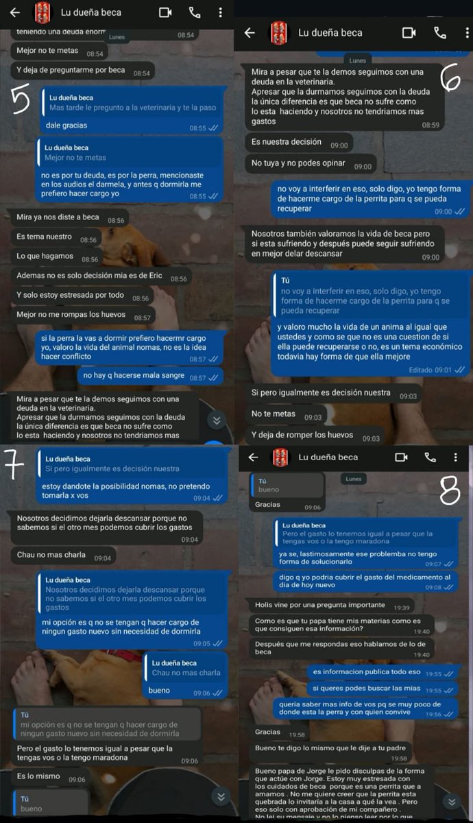 Niniaventura's tweet photo. Acá están las capturas de la persona que le ofreció ayuda pero prefiere matarla que devolver la 
@elcampito @Proyecto4Patas necesito difusión https://t.co/mlaxrmAakR