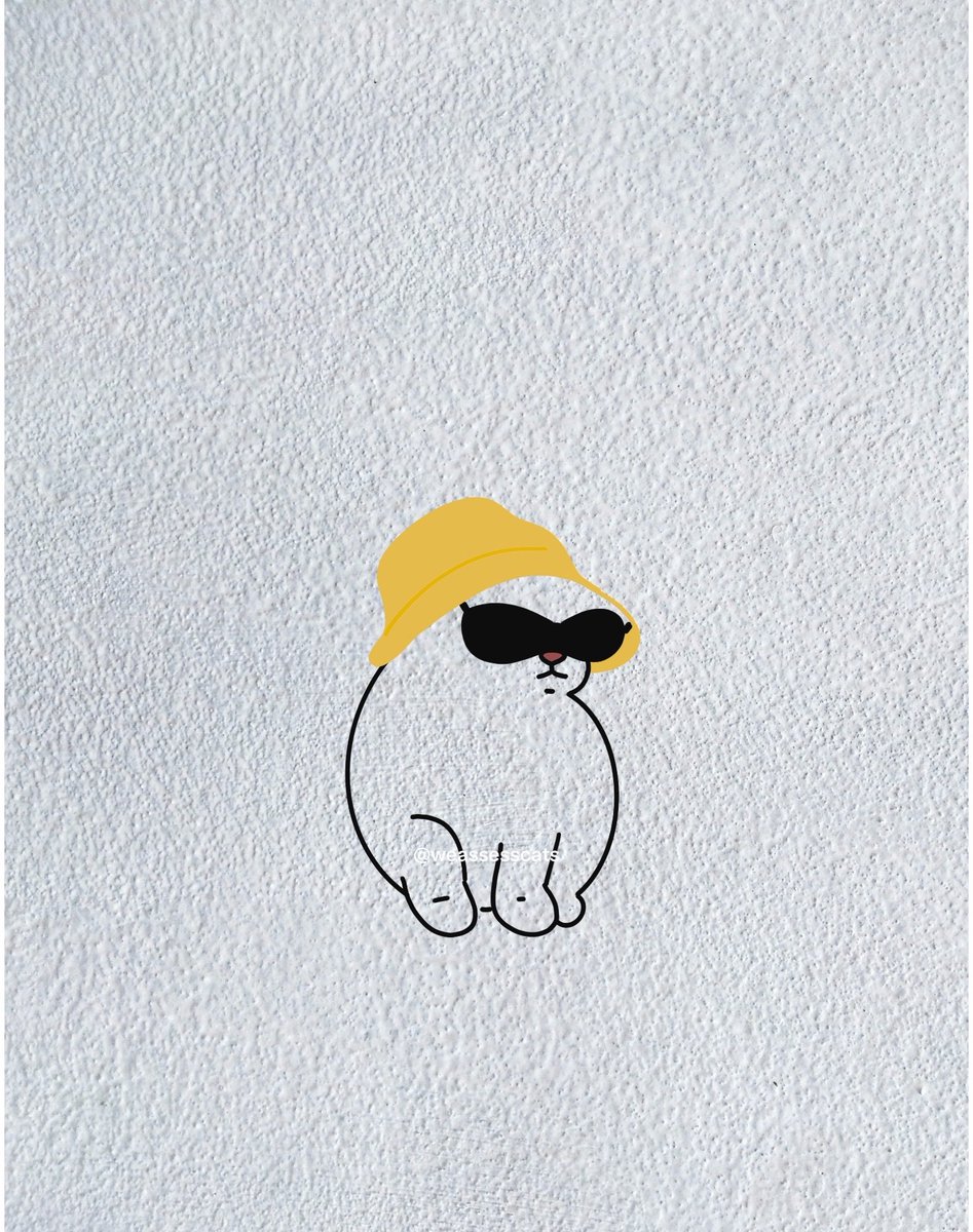 WeAssessCats's tweet photo. 👒
😎 https://t.co/DKspCPnH8P