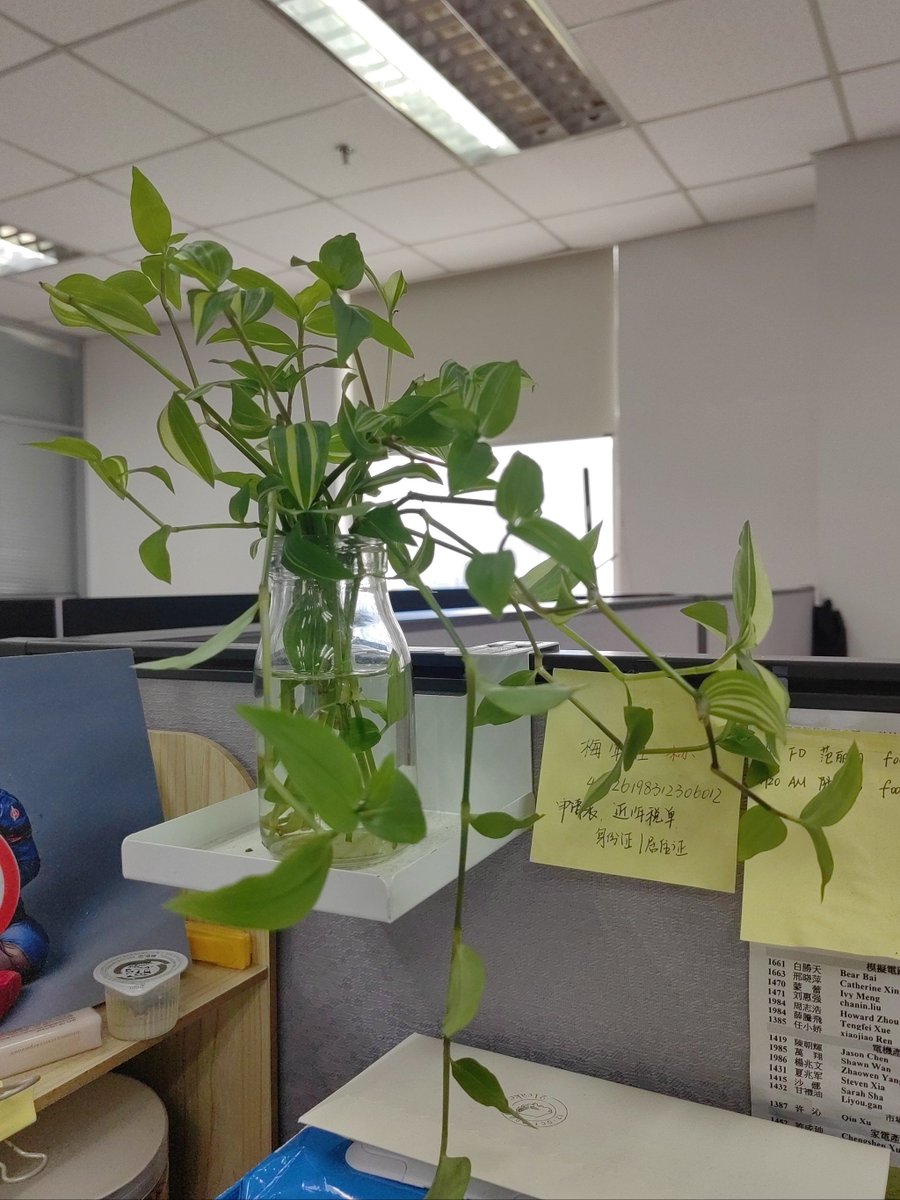 slowh368203's tweet photo. Just spent 10 whole minutes staring at my office plant... turns out it’s way more interesting than my spreadsheet. #WorkMoments， https://t.co/uVkyBQc0bd