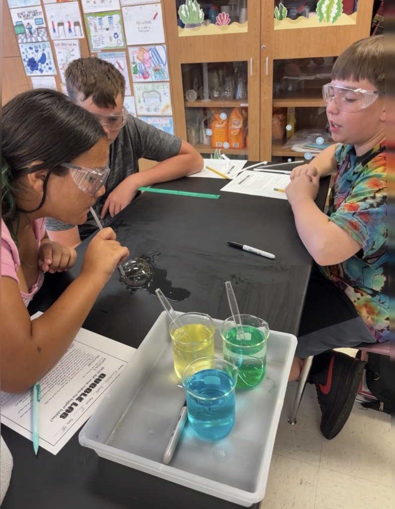 M19_MMS's tweet photo. 7th grade students putting their lab skills to the test with a Bubble Lab. #MMSPride https://t.co/t6UPPgzybr