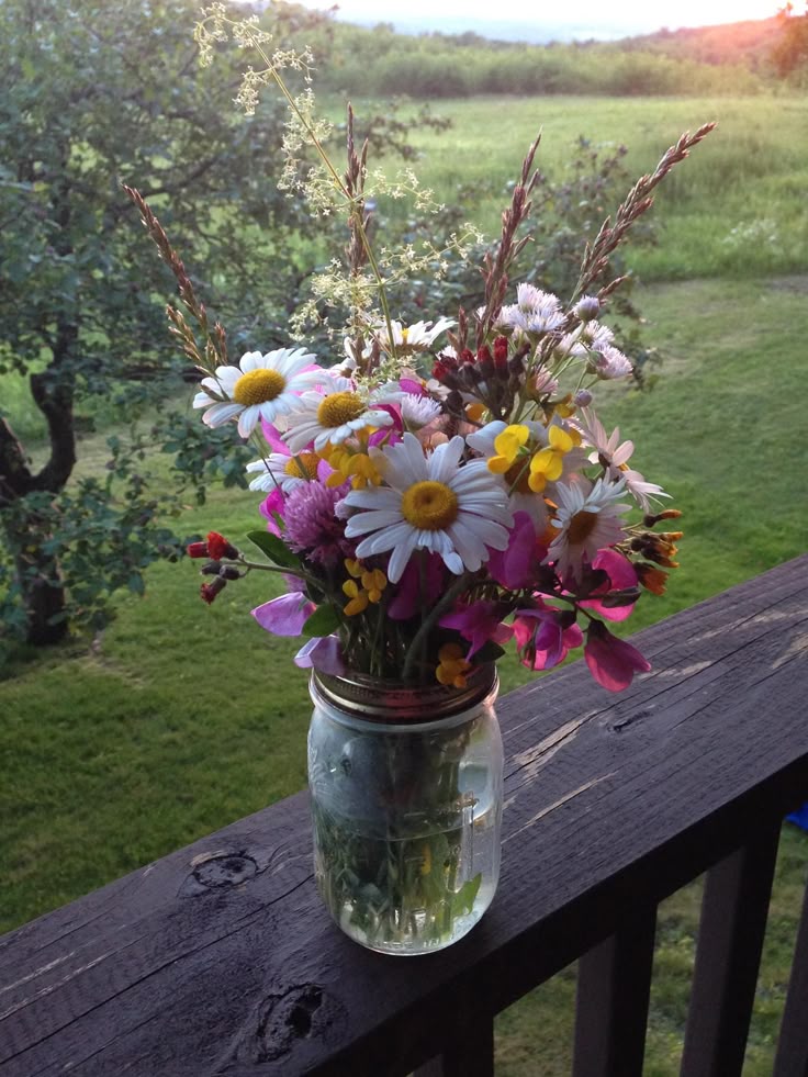greenvibe's tweet photo. life is good https://t.co/BEPcnEi4dT