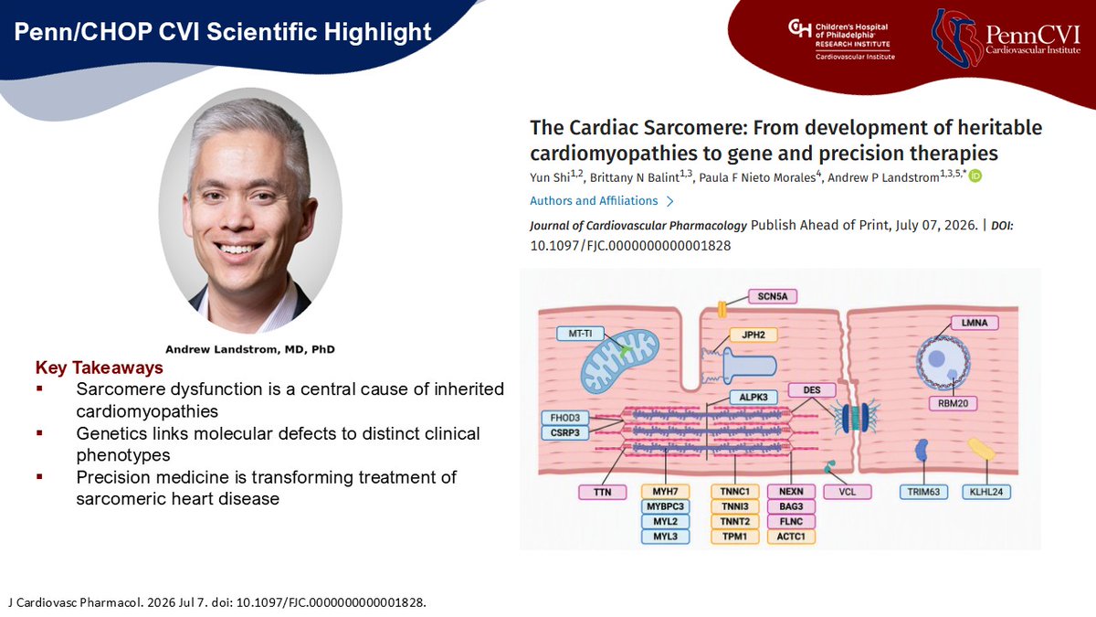 PennCVI's tweet photo. CVI's Highlighted #PapersoftheWeek!
https://t.co/yk0238MOTv https://t.co/dAXxzCBgIr