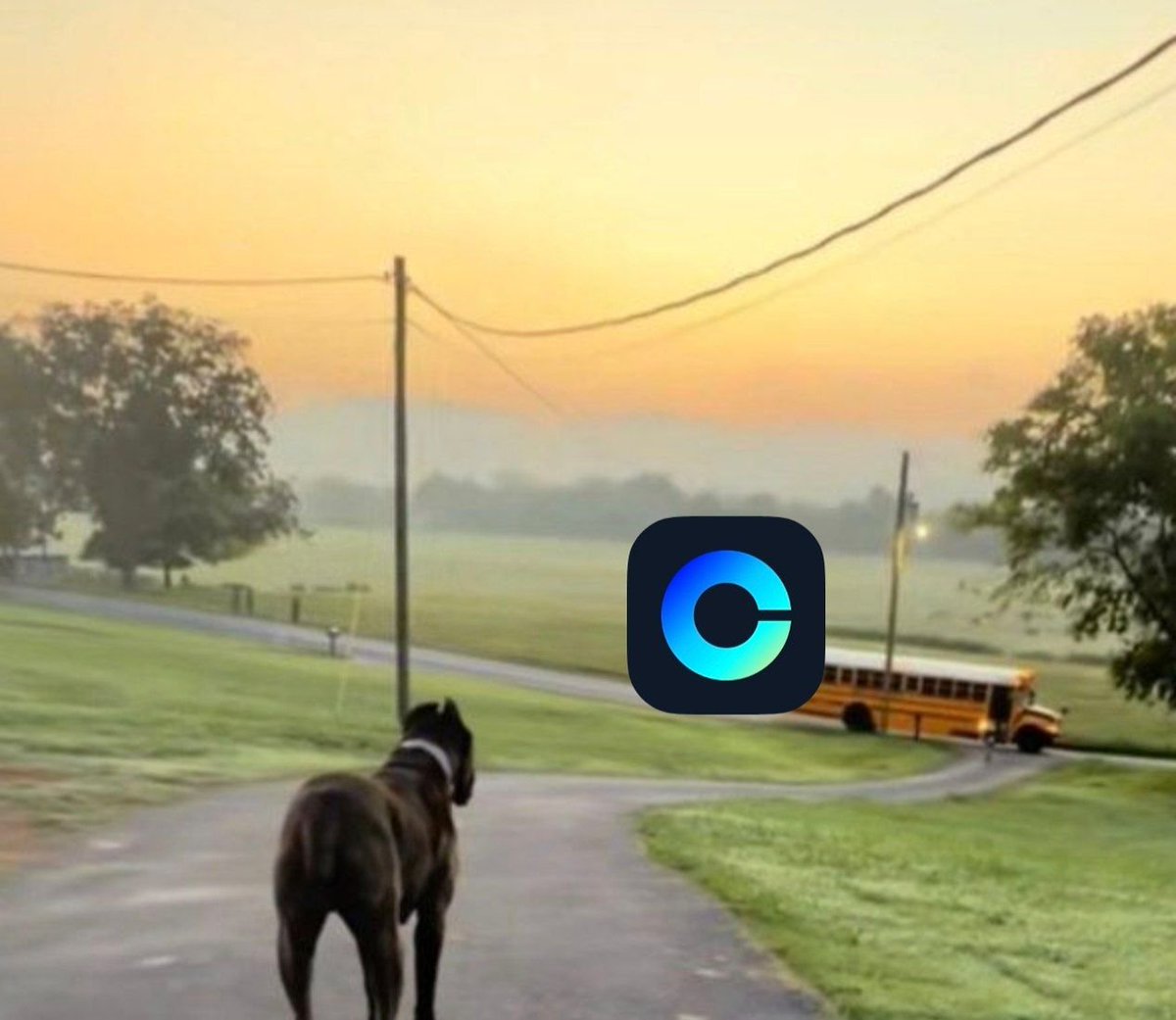 3eyng's tweet photo. Let's win 🟦 https://t.co/zlcUP5vcbU