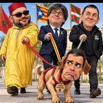 Photo by ZOREBE 💯 💚 🇪🇸 V.E.R.D.E. 🇪🇸 💚 (@zorebe)
