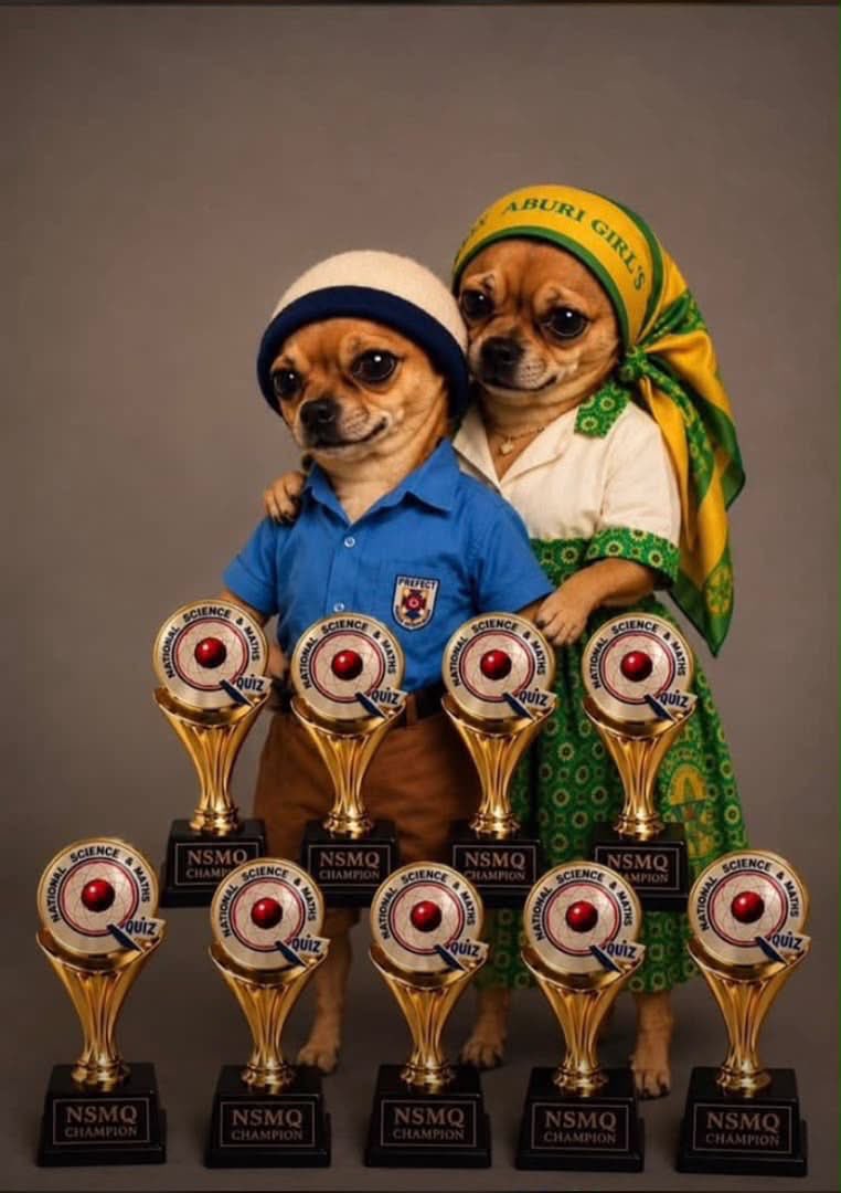 maechesterr's tweet photo. As usual! The only girls school with 9 trophies. 🤭💙💚💛 https://t.co/JiyAMaxINl