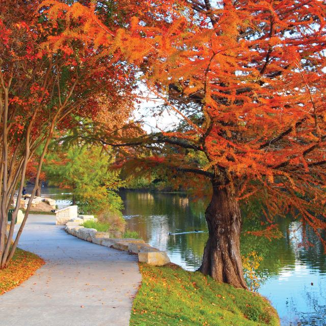 Juhrdan_'s tweet photo. I also offer Boerne, TX, has gigabit  great peopl, ande good food, calm living https://t.co/GJvXelO0kI
