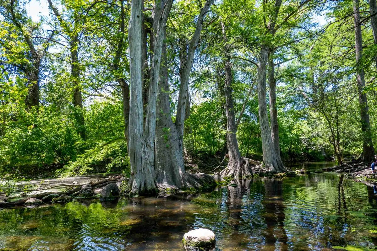 Juhrdan_'s tweet photo. I also offer Boerne, TX, has gigabit  great peopl, ande good food, calm living https://t.co/GJvXelO0kI