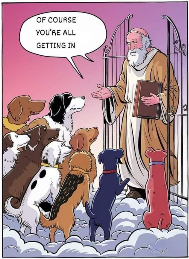 TweeetsOfDogs's tweet photo. https://t.co/Eg5DfjeZo4