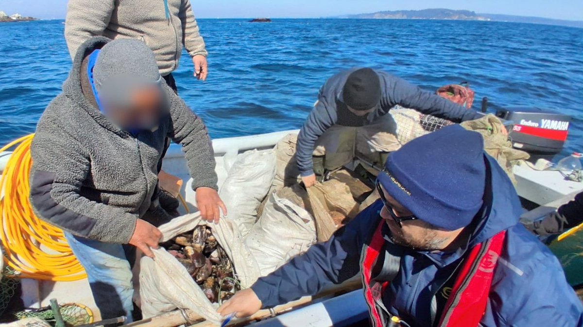 sernapesca's tweet photo. #Biobío: Junto a @DGTM_Chile realizamos un control a usuarios en la Bahía de Concepción. Además, con @CarabBioBio y @SII_Chile, fiscalizamos a locales de venta de recursos del mar en Tomé, difundiendo la campaña #QueNoLeVendanLaPescá. No se detectaron infracciones a la normativa. https://t.co/443ZtGVDTi