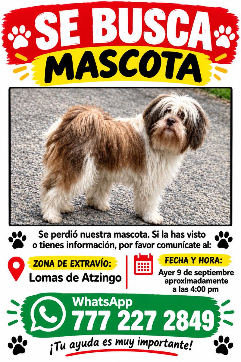 24_morelos tweet picture