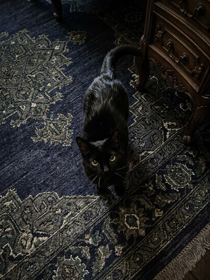 deepdarkvibe's tweet photo. The dark is watching. https://t.co/cirVPrmIAI