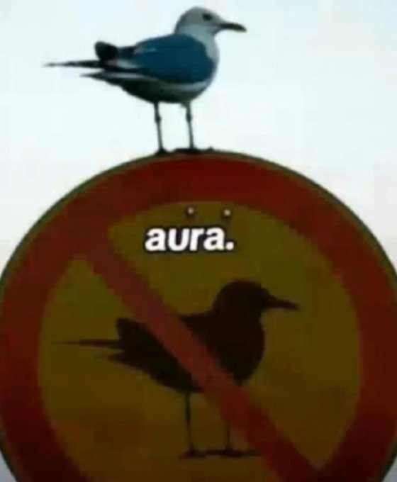 Shitpost_2048's tweet photo. https://t.co/W5Ty6SoioW
