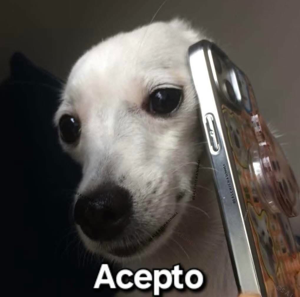 Javisness's tweet photo. BBVA: "Tienes un crédito aprobado"

Yo debiendo esta vida y la otra: https://t.co/8m8Pqcd4zd