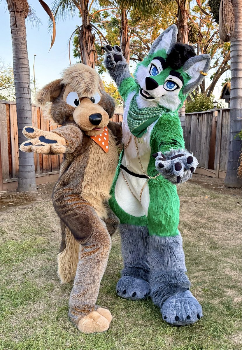 Torani_Wolf's tweet photo. @finnthepuppo Hard choice… 🐕 https://t.co/Wa0NgHKeme