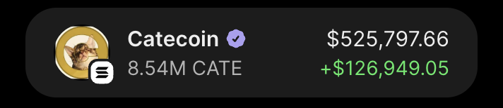 meilinxbt's tweet photo. i don't think i've ever held a token as long as i've held $cate.

i've been through every single dip and pump, and somehow i'm still here.

i never thought this memecoin would become such a fucking headache.

one day it's down 50%, the next it's up 100%.

i swear, at this point, i just find it funny.