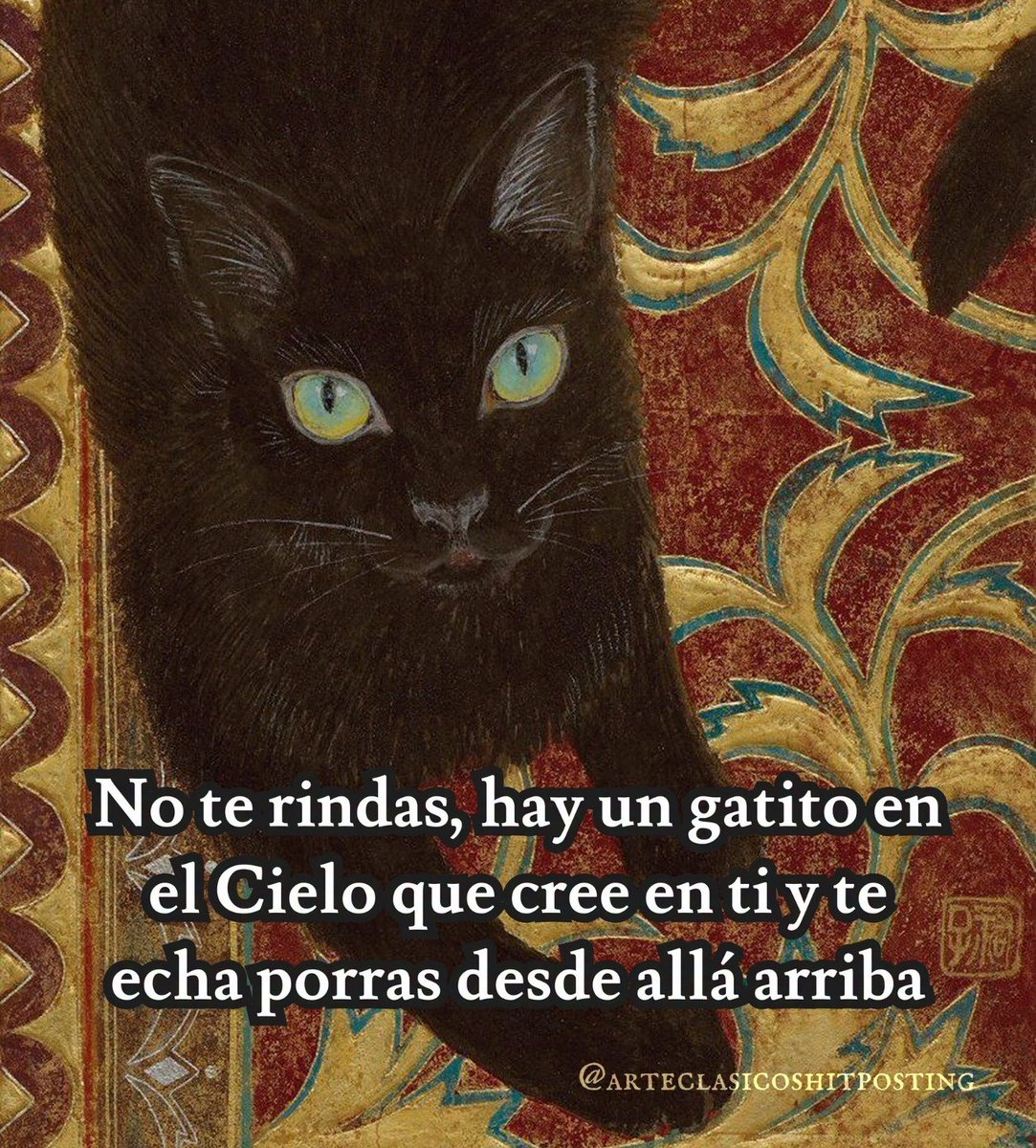 nacional_memes's tweet photo. 🐱 https://t.co/hKfc90zPlS