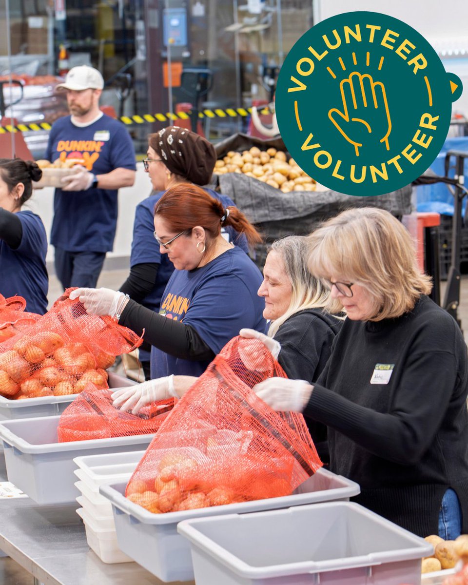 2harvest's tweet photo. Gather your friends, family, or coworkers &amp; make a hands-on impact in our community during Hunger Action Month! 
From food sorting &amp; packing to other skill-based projects, volunteers play a vital role in supporting our neighbors in need. 
🤝Take action: https://t.co/hzWsEbumFQ https://t.co/zoLXK0jP9x