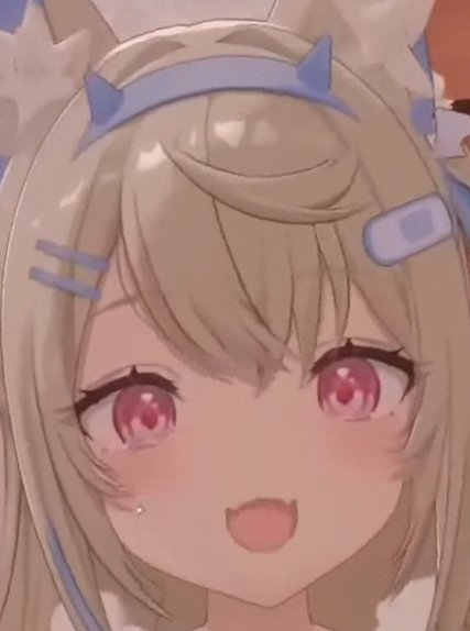 azagron764's tweet photo. Fluffy agenda is top priority. https://t.co/Dq99sRA4XL