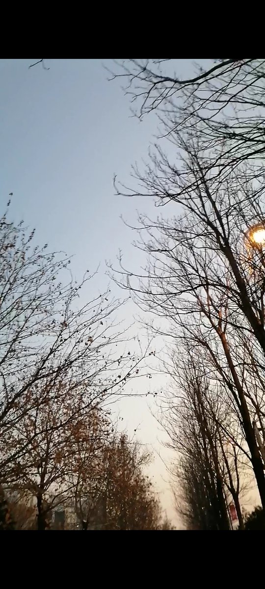 peaci021949's tweet photo. New semester mode ON  Fresh chapters, new goals, and lots of growth ahead — let’s make this term count, everyone! https://t.co/2uR7TtrYzn