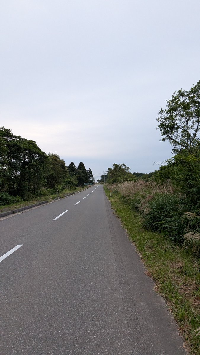 watwat_running's tweet photo. #朝RUN しました✨
明日は #わかさぎハーフ 本番🏃
頑張るぞー👍

#アラフィフランナー
#マラソン初心者 https://t.co/Mxh8mVDGTa