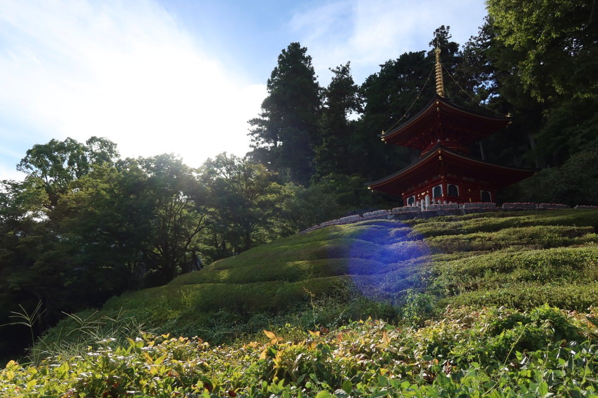 MMYYChiu0278's tweet photo. 勝尾寺 https://t.co/nRCvBJ7EvL