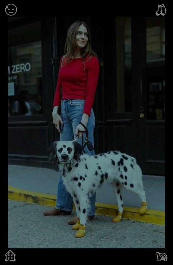 tach_ant's tweet photo. When she got to her apartment, Clara leaned against the door, smiling, her heart still racing. She couldn’t believe how much her life had changed in just one week—finding a hidden cat cafe, meeting Ethan, and feeling like she finally belonged in t🎧Arrange things Packed, ready https://t.co/pjfZb1PcHt
