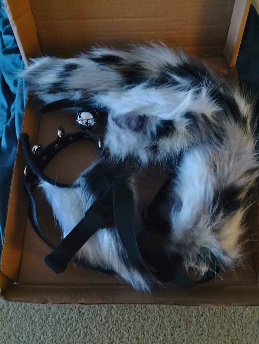 _leonekko's tweet photo. Furry's first affordable costume 😭🙏 https://t.co/VW4h253LQx