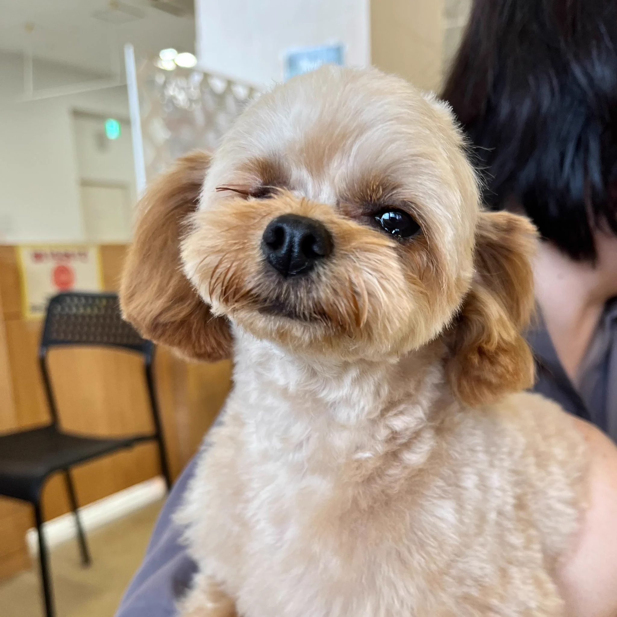 HOGOKEN CAFE® 印西店 on X: 