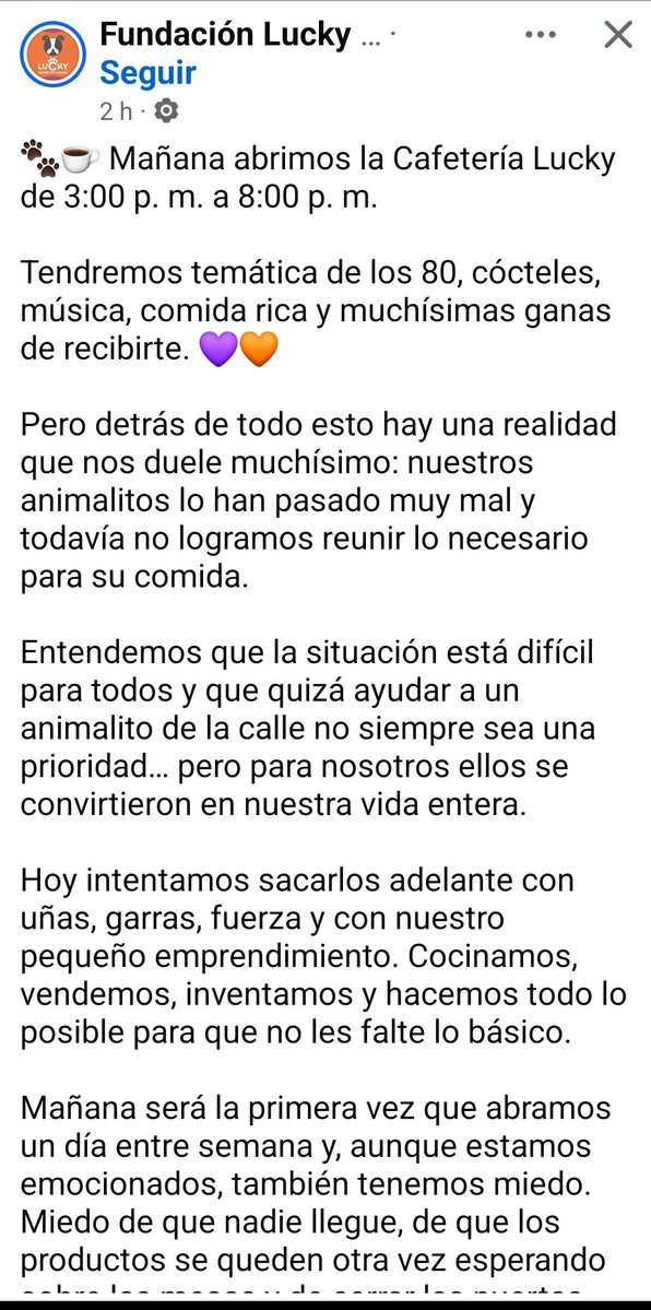 fridayorke's tweet photo. Mañana abren la cafetería más linda del planeta. Del refugio de perritos Lucky. Hay temática de los s 80's  (han invertido y están súper necesitados para alimentos de los peluditos) Les dejo toda la info https://t.co/PBhkiQfIqb Vamos! RT por fa 🤍 https://t.co/tVVa5q3bSO