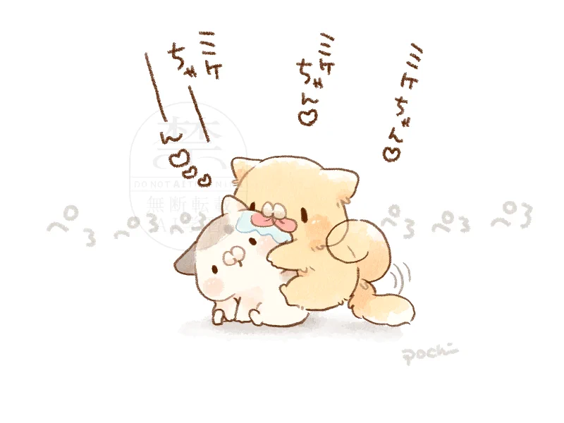 ぽち🐱となりのにゃんこ on X: 