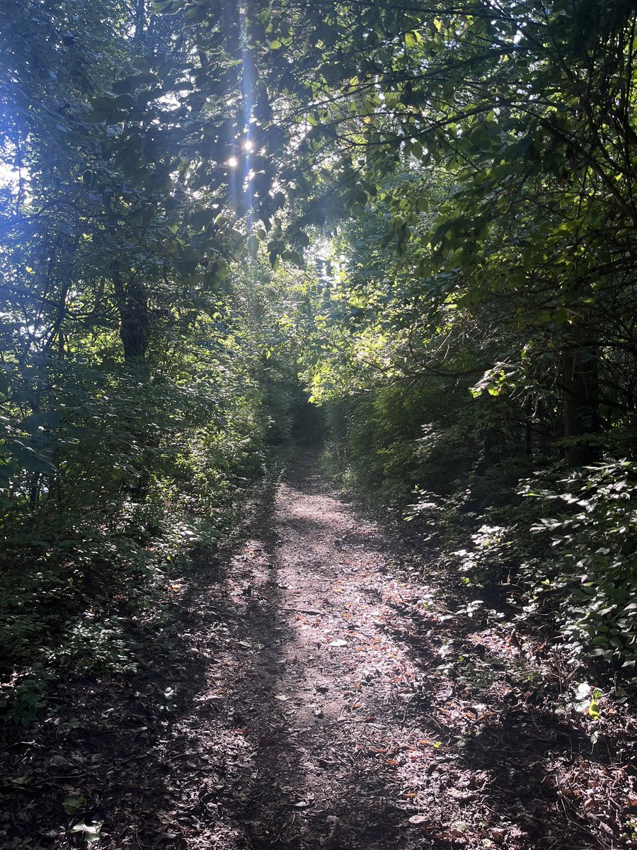 zirazira22's tweet photo. in da woods smoking a wood on a piece of wood https://t.co/9Gg0g1ccZ8