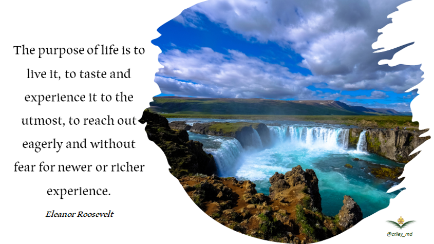 criley_md's tweet photo. The purpose of life is to live it, to taste & experience it to the utmost, to reach out eagerly & without fear for newer or richer experience.
#EleanorRoosevelt
Good Wednesday Morning!
#indeliblemd #WednesdayVibes #Motivation #lifemd #purpose #career #goals #courage #indeliblemd https://t.co/mvXPWKpYNx