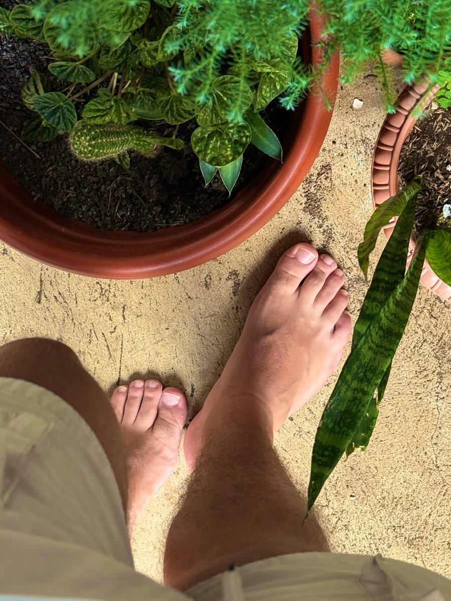 feetonboardcr's tweet photo. Regando las plantas 🪴👣 https://t.co/WQieO7q7K6
