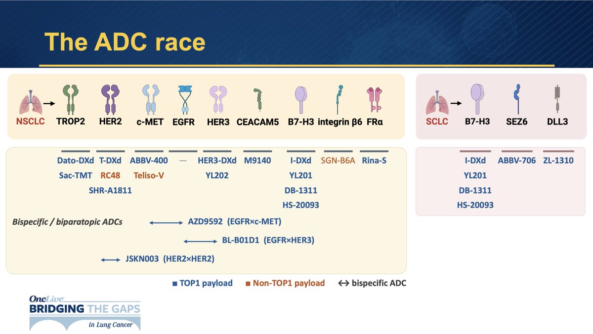 BTG Lung 2026 Seoul slide — The ADC race (Mihaela Aldea, MD PhD)