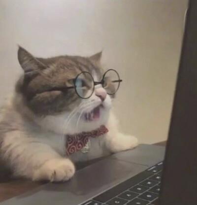 TrinityUnsal's tweet photo. 🌂 🌸 🪐 🧢 🪐 That playlist for heartbreak heals: ballads building bridges back. https://t.co/TY1h829B0p