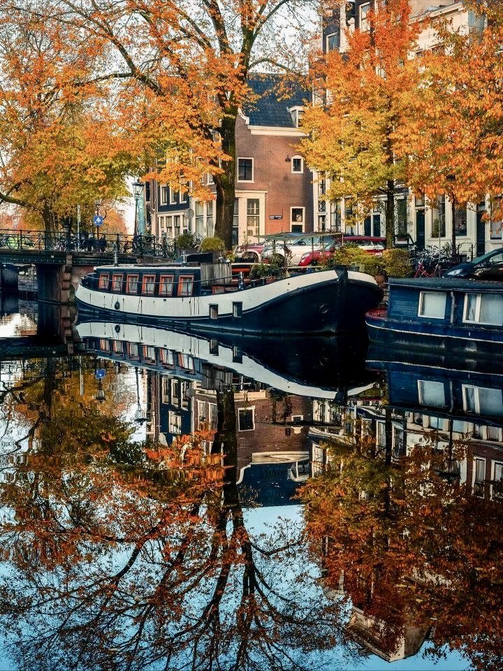 helena_mar19's tweet photo. Good Morning 
Have a Wonderful Day 

(Amsterdam,📷 Pinterest) https://t.co/K1DY3Hf1jb