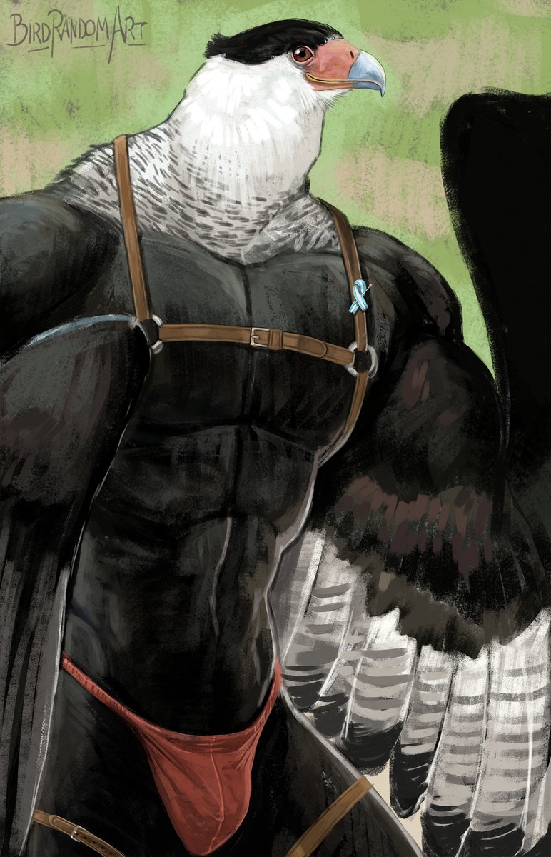 BirdrandomART's tweet photo. Carancho vs carancho
OC VS Species https://t.co/PnNT9TTNkV