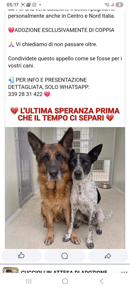 annina_cutillo's tweet photo. https://t.co/teNwgx2LAH