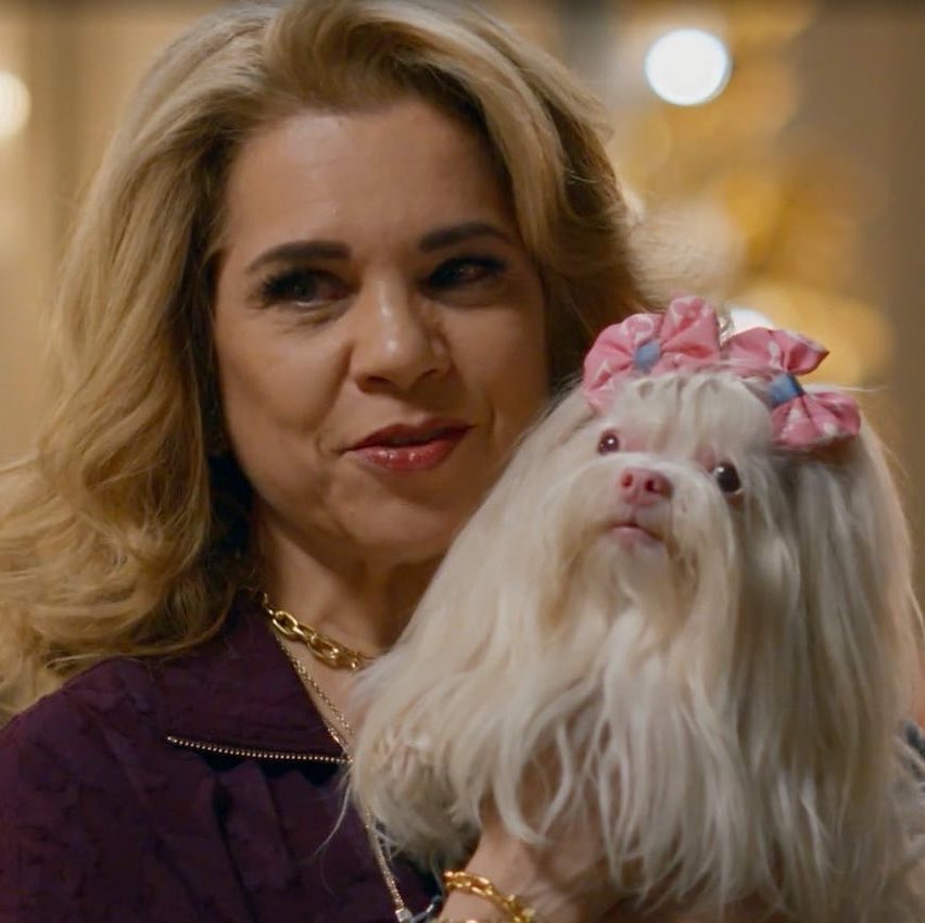 telenewstn's tweet photo. 🚨 NÃO CURTI! Por que Pilar (Isabel Teixeira) passou a tratar mal a cachorra Maria Antonieta em #QuemAmaCuida? O animal, antes mimado como um bibelô pela vilã, agora é alvo de reclamações o tempo todo.

ℹ️ Zean Bravo https://t.co/XU8W2C7DHh