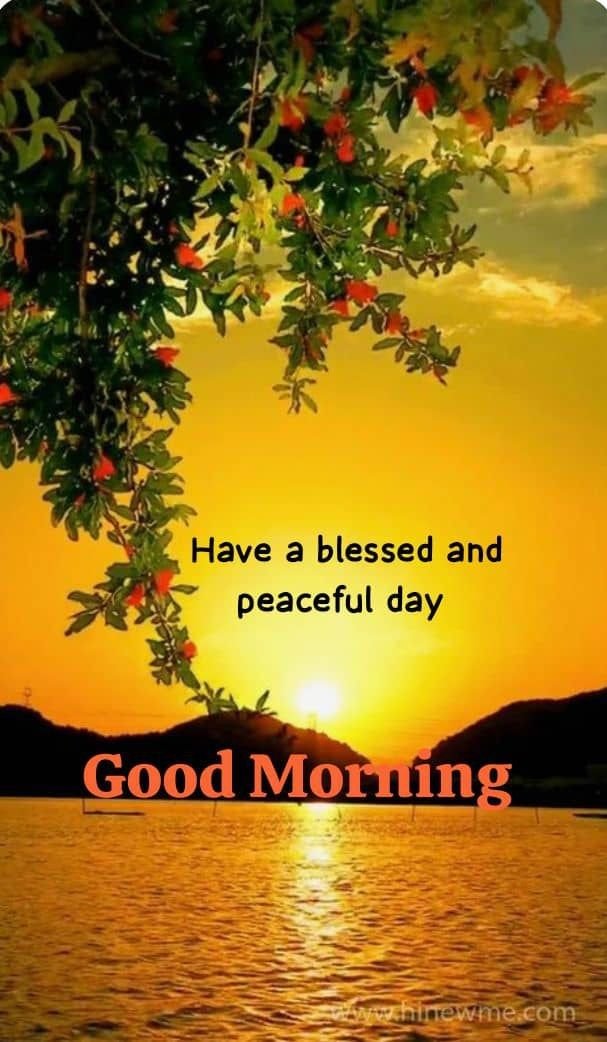 lotter_chr47028's tweet photo. Good morning... https://t.co/p56lN4kFx3