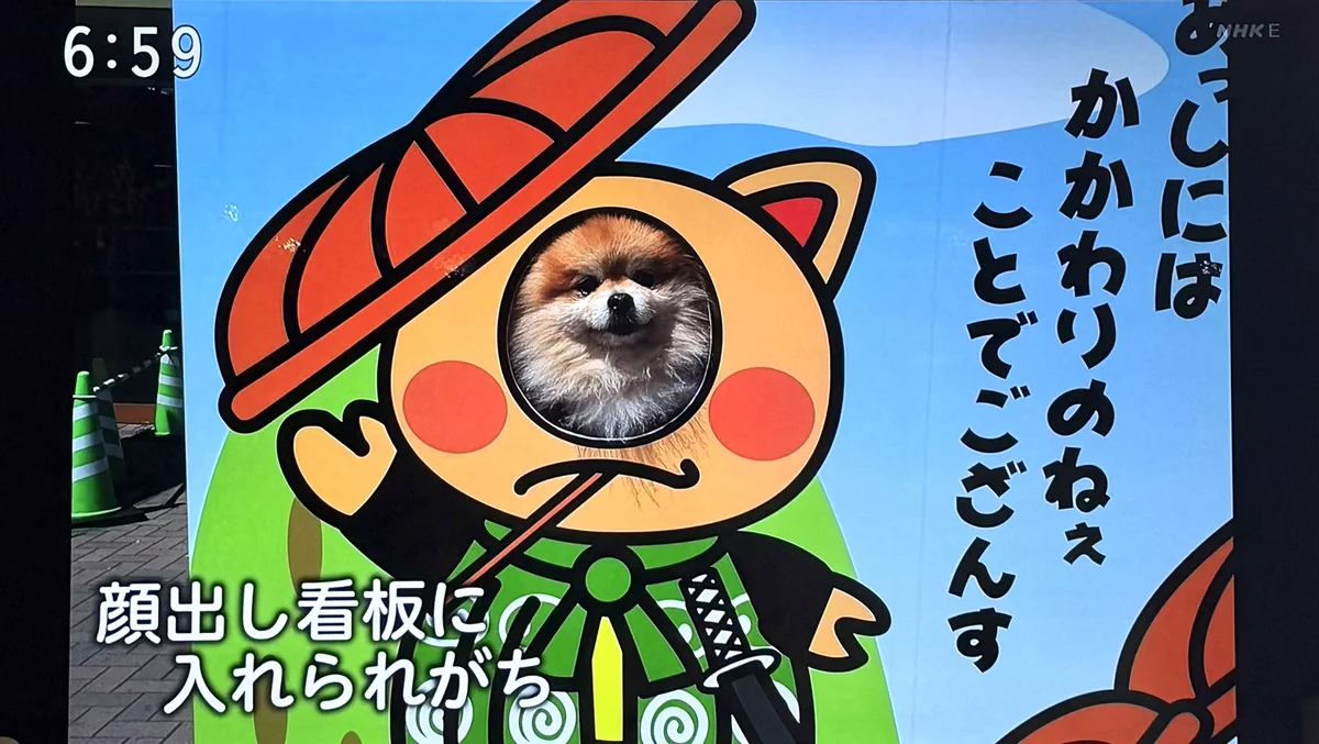 ホットケーキ on X: 