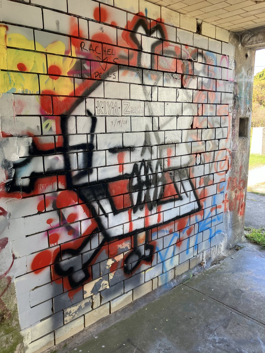 StormmStewart's tweet photo. My collection of #graffiti skulls https://t.co/9GMZ4jAEFD