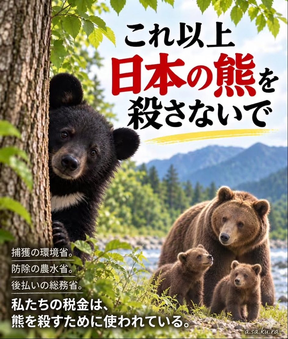 TA43786386's tweet photo. 【拡散希望】

『これ以上、日本の熊を殺さないで』

人の安全を守りながら、熊を殺さない。
熊を殺さなくても、人の安全は守れる。

私たちが知らないクマ対策予算の真実。

実は駆除にかかるお金は、国の「3つの省」が主導しています。

🟢環境省：罠の設置・緊急銃猟
🟡農水省：電気柵や伐採
🔵総務省：自治体の自腹分を後出し補填

※殺すためではなく、生かす共生に予算を使って！

政府「クマ被害対策ロードマップ」関係予算より

#クマ対策予算
#野生動物との共生