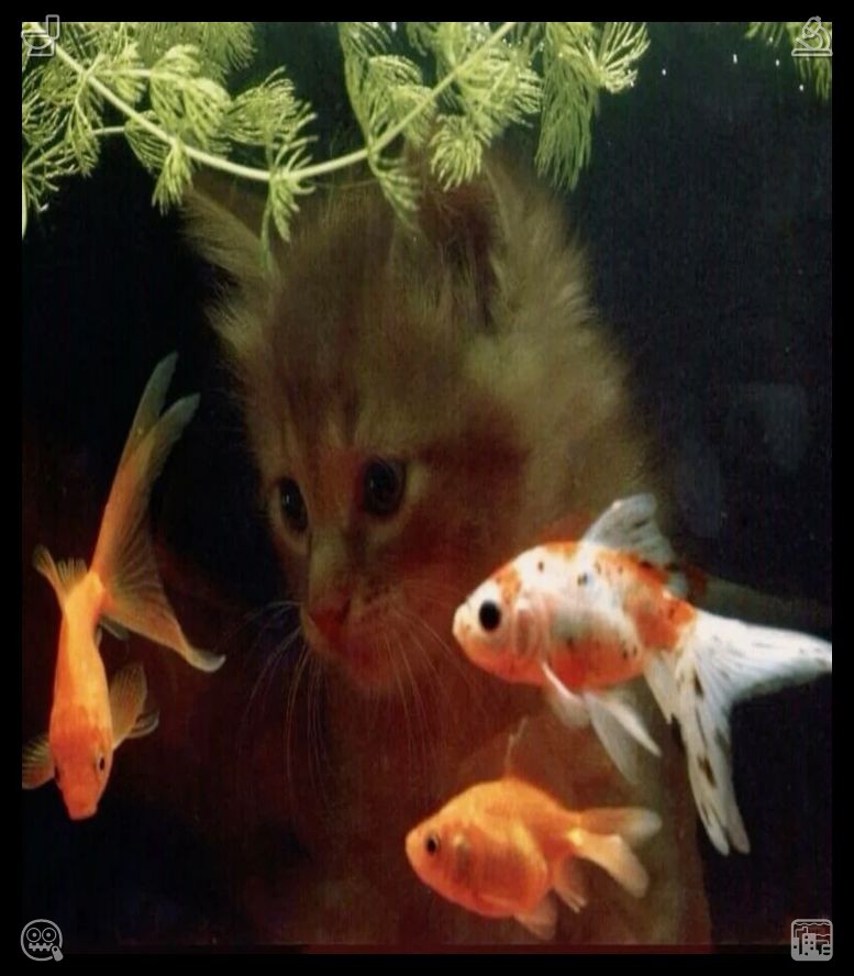 17Kyonji's tweet photo. 🦞Bathroom Cleaning The bathroom is warmTenderness blooms endlessly in my heart as you ramble trivial thoughts, fondness lingers on every silly syllable, treasuring every word you share with me. https://t.co/9biRbVPrJQ