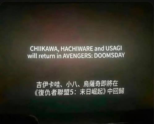 FatUsagiRabbit's tweet photo. Just saw the chiikawa movie… no way. https://t.co/Ly0nuAixHy