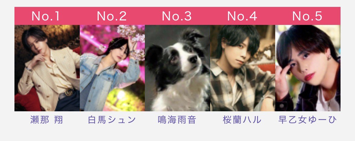 arow106's tweet photo. なんかおもろいホストでも居ないかなって見てたら犬いたんだけど https://t.co/Jfy0L32sjD