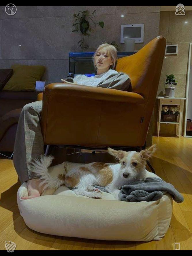 mkennedy04upser's tweet photo. Kittens lean on people’s laps quietly, bringing warm touch and peaceful mood. This relaxed moment relieves trivial work pressure and calms impetuous heart.🗡Energetic music in headphones https://t.co/MZCSDEbbFX