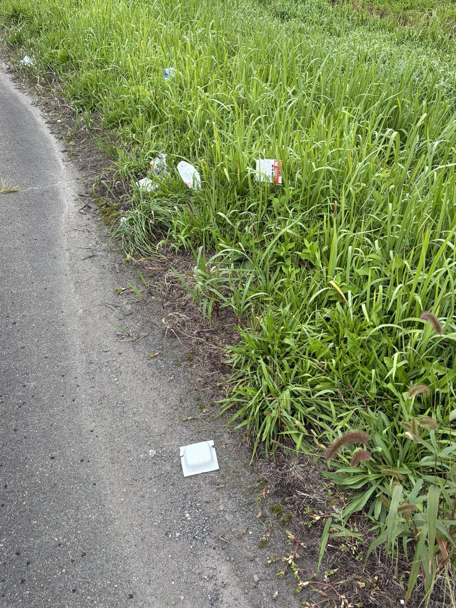 nisoushionsen1's tweet photo. 県道１３号大鰐-浪岡線
明らかに投棄した家庭ゴミ…

品性を疑いますよ？

良い子のみんなは、こんな馬鹿げた事はやめましょうね😉

ゴミ袋代、返してくれ(笑)…3円😆 https://t.co/QOXElxZfMf