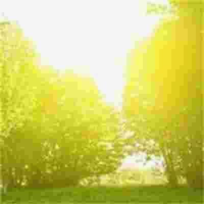 cssgr12786574's tweet photo. The most profound journeys begin the moment we stop running from ourselves.   🌐 🌺 💰 https://t.co/4J8qDMfIf1